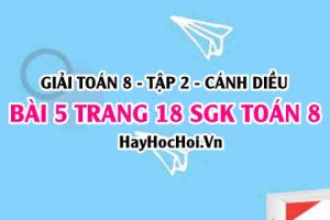 Bài 5 trang 18 Toán 8 Tập 2 Cánh Diều